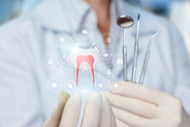 Best Preventive Dentistry  in Clarkston Heights Vineland, WA